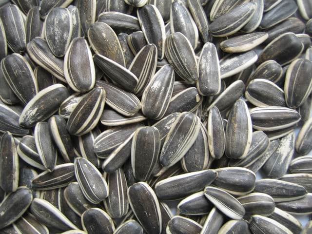 100_ sunflower seeds kernel peeled sunflower seeds